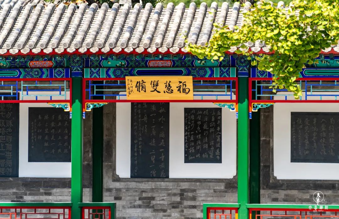 微信图片_20250218185722.jpg